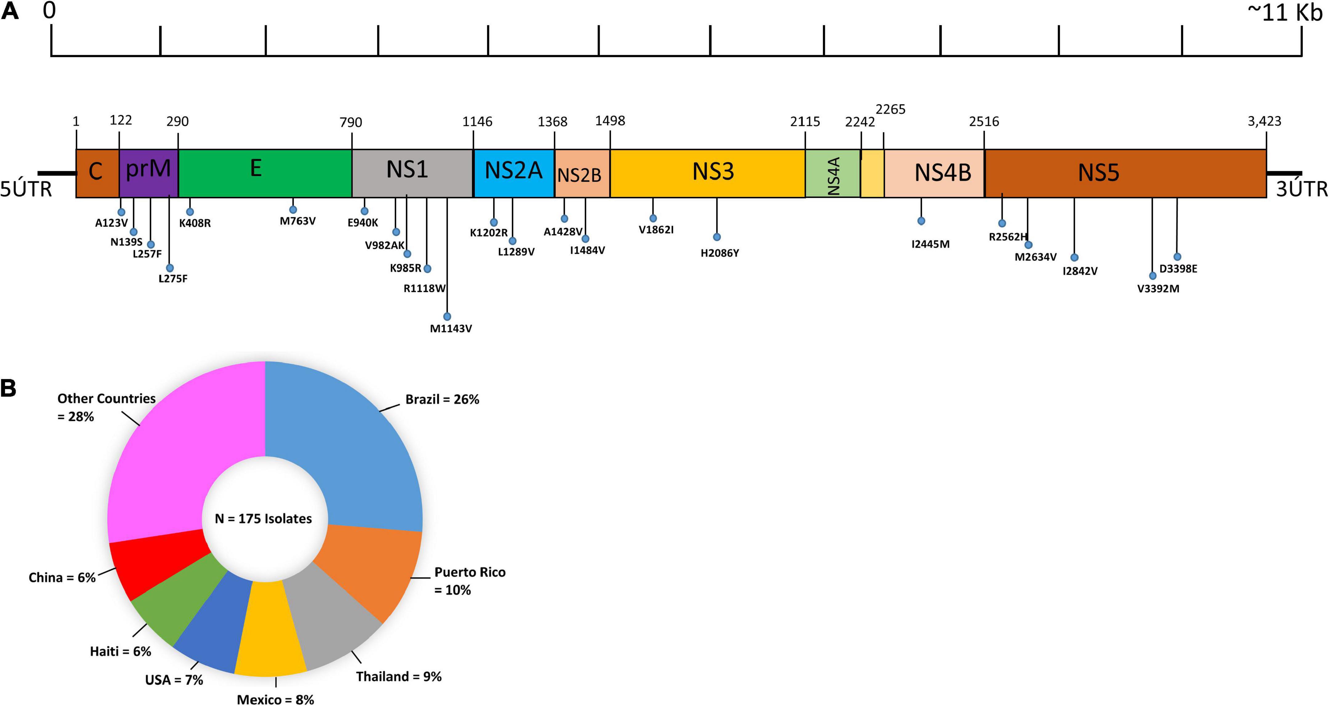 Comparative mutational analysis of the Zika virus genome from different geographical locations and its effect on the efficacy of Zika virus-specific neutralizing antibodies
